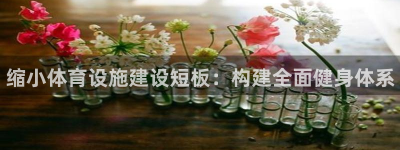 意昂4集团官网首页：缩小体育设施建设短板：构建全面健