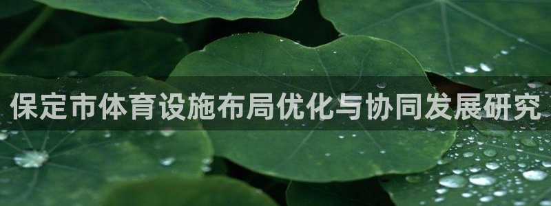 意昂4开户：保定市体育设施布局优化与协同发展研究