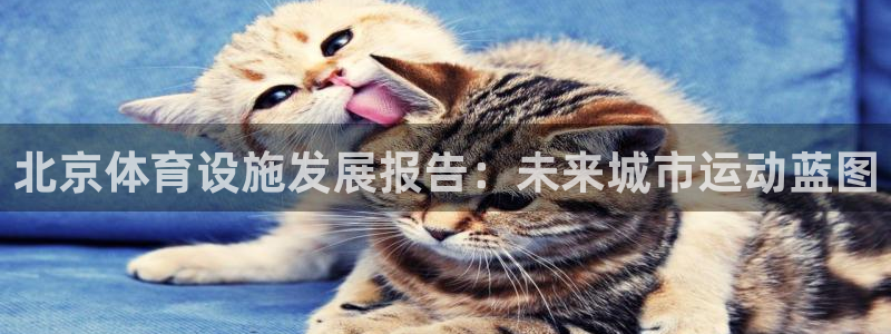 意昂体育4招商：北京体育设施发展报告：未来城市运动蓝
