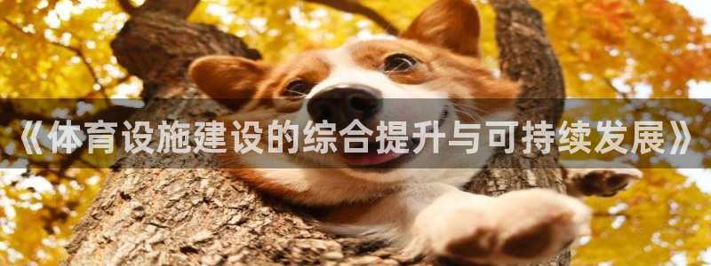 意昂4官方：《体育设施建设的综合提升与可持续发展》