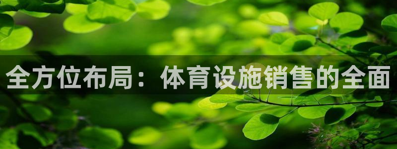 意昂4官方：全方位布局：体育设施销售的全面