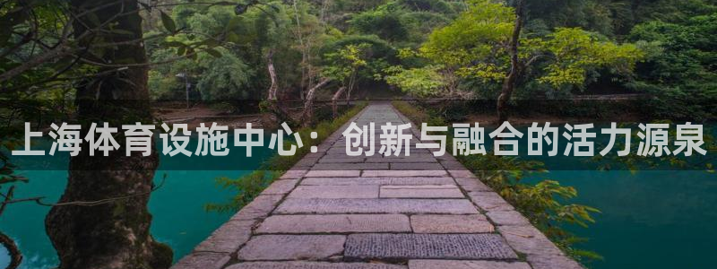 意昂体育4平台注册：上海体育设施中心：创新与融合的活