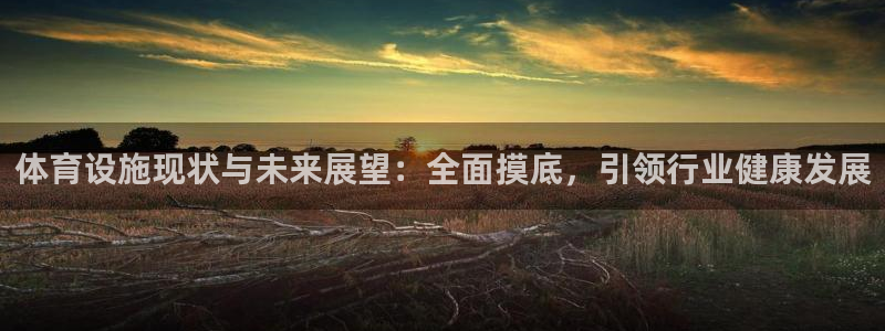 意昂4科技：体育设施现状与未来展望：全面摸底，引领行