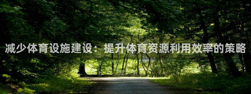 意昂4科技：减少体育设施建设：提升体育资源利用效率的策略