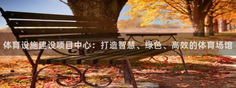 意昂4娱乐代理怎么样：体育设施建设项目中心：打造智慧