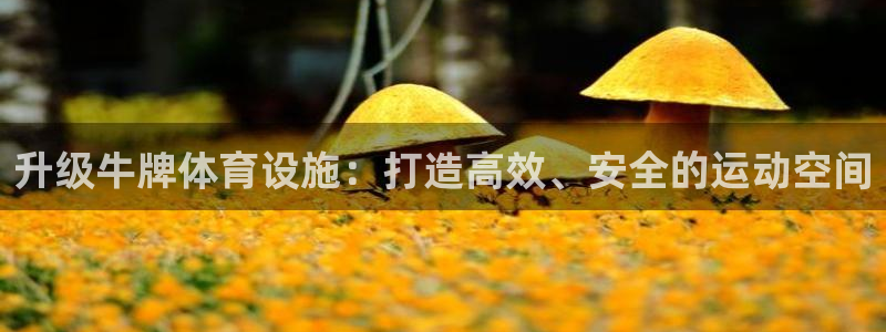 意昂体育4招商电话号码是多少啊：升级牛牌体育设施：打