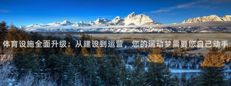 意昂体育4招商电话是多少：体育设施全面升级：从建设到运营，您