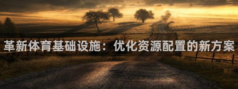 意昂4代理：革新体育基础设施：优化资源配置的新方案