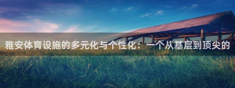 意昂体育4注册：雅安体育设施的多元化与个性化：一个从基层到顶