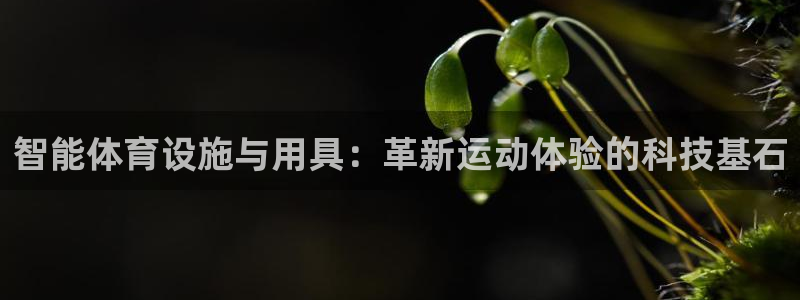 意昂4官网：智能体育设施与用具：革新运动体验的科技基石 