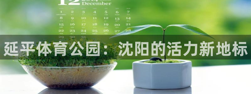 意昂4集团：延平体育公园：沈阳的活力新地标