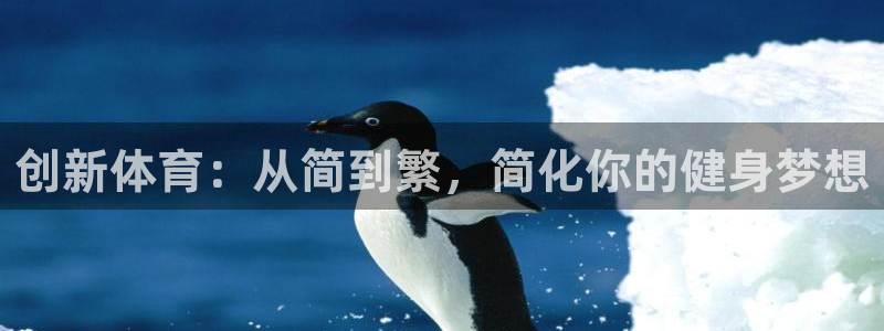 注册意昂4：创新体育：从简到繁，简化你的健身梦想