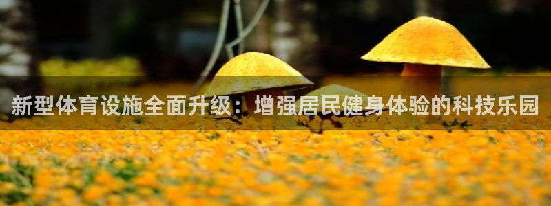 意昂体育4平台APP：新型体育设施全面升级：增强居民健身体验