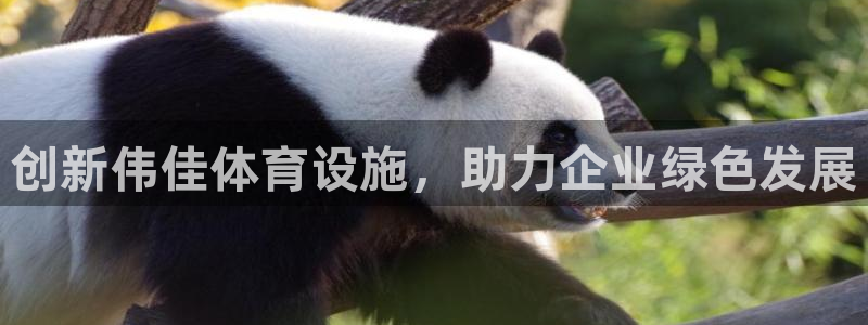 意昂体育4娱乐：创新伟佳体育设施，助力企业绿色发展 